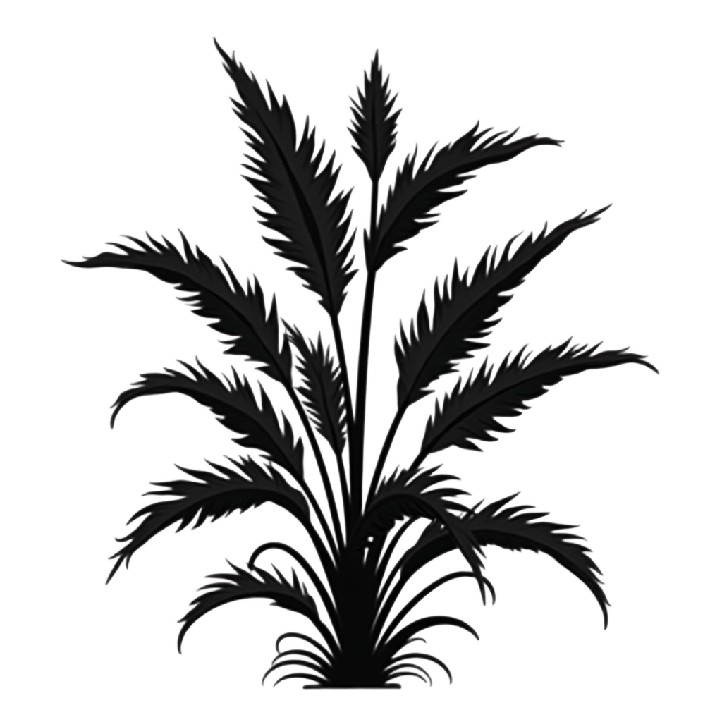 Fern Silhouette